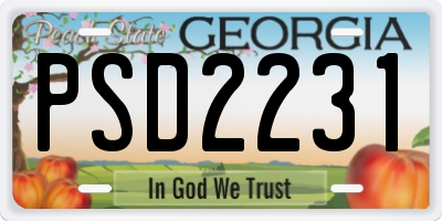 GA license plate PSD2231