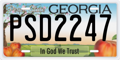 GA license plate PSD2247