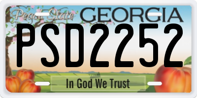 GA license plate PSD2252