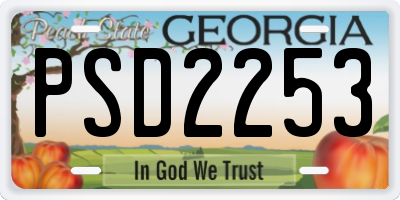 GA license plate PSD2253
