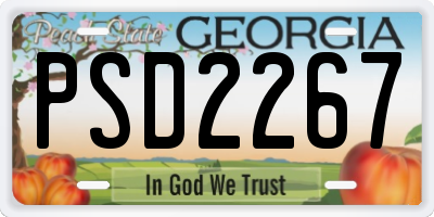 GA license plate PSD2267