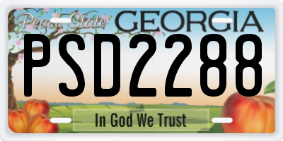 GA license plate PSD2288