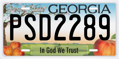 GA license plate PSD2289