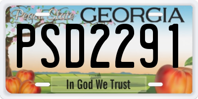 GA license plate PSD2291