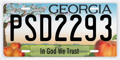 GA license plate PSD2293
