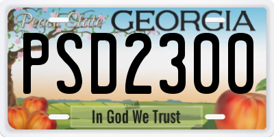 GA license plate PSD2300