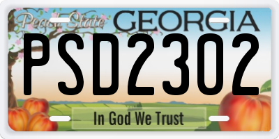 GA license plate PSD2302