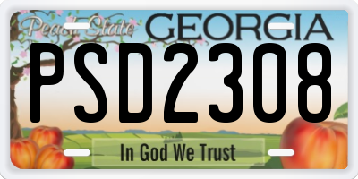 GA license plate PSD2308