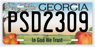 GA license plate PSD2309