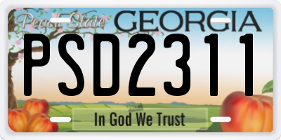 GA license plate PSD2311