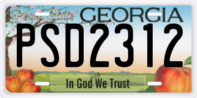 GA license plate PSD2312