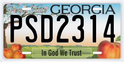 GA license plate PSD2314