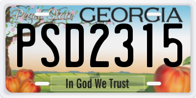 GA license plate PSD2315