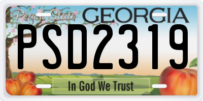 GA license plate PSD2319