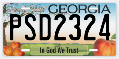 GA license plate PSD2324