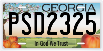GA license plate PSD2325