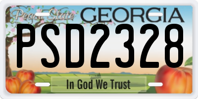 GA license plate PSD2328
