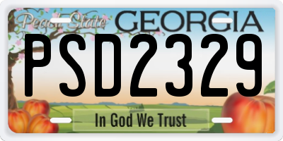 GA license plate PSD2329
