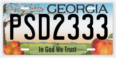 GA license plate PSD2333