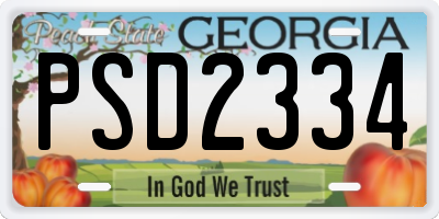 GA license plate PSD2334