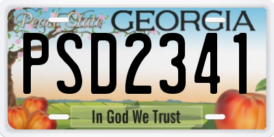 GA license plate PSD2341