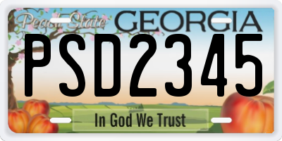 GA license plate PSD2345