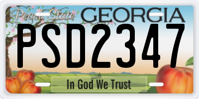 GA license plate PSD2347