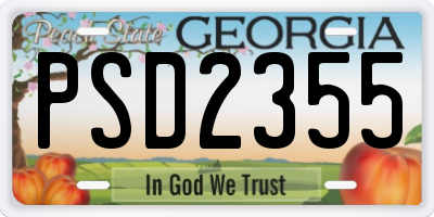 GA license plate PSD2355