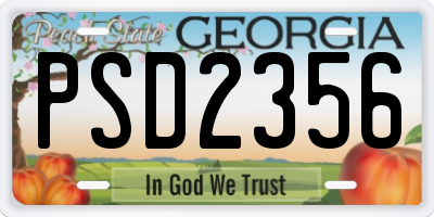 GA license plate PSD2356