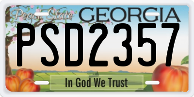 GA license plate PSD2357