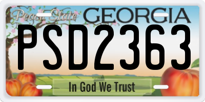 GA license plate PSD2363