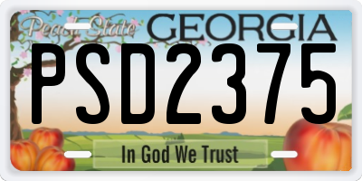 GA license plate PSD2375