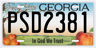 GA license plate PSD2381