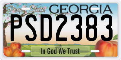 GA license plate PSD2383