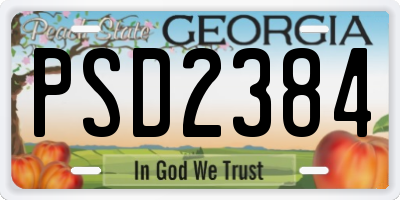 GA license plate PSD2384
