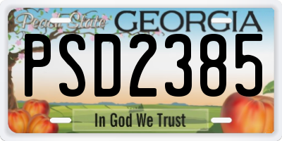 GA license plate PSD2385
