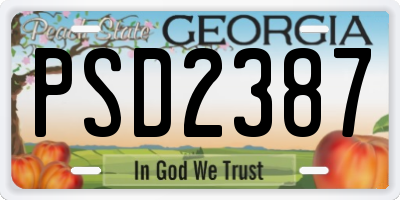 GA license plate PSD2387