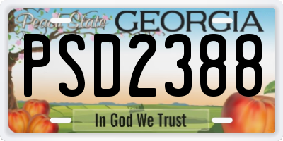 GA license plate PSD2388