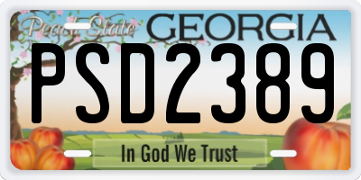 GA license plate PSD2389