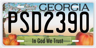 GA license plate PSD2390