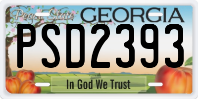 GA license plate PSD2393