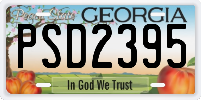 GA license plate PSD2395