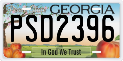GA license plate PSD2396