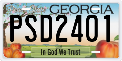 GA license plate PSD2401