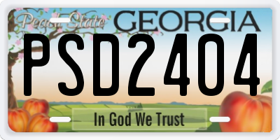 GA license plate PSD2404