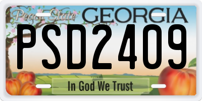 GA license plate PSD2409