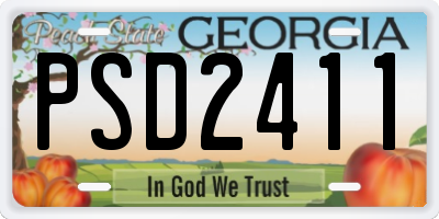 GA license plate PSD2411