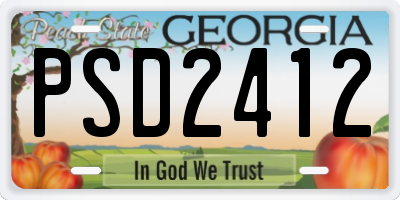 GA license plate PSD2412