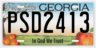 GA license plate PSD2413