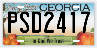 GA license plate PSD2417